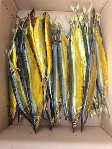 Фото реальной отгрузки продукции