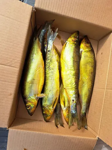 Фото реальной отгрузки продукции