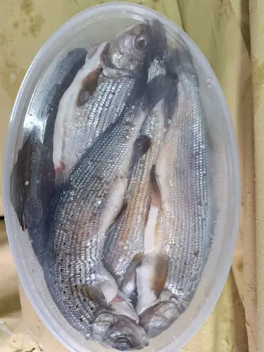 Фото реальной отгрузки продукции