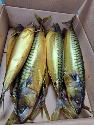 Фото реальной отгрузки продукции