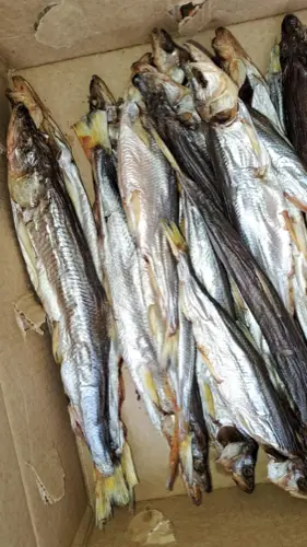 Фото реальной отгрузки продукции